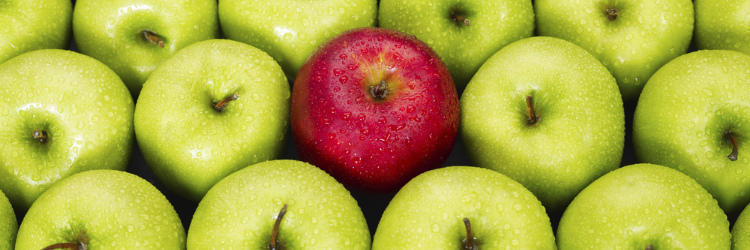 apples.1.jpg